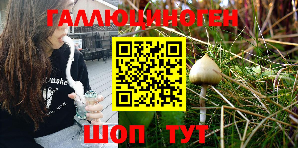 Кисловодск  Псилоцибиновые грибы Magic Shrooms  где купить наркоту  Вход с VPN 