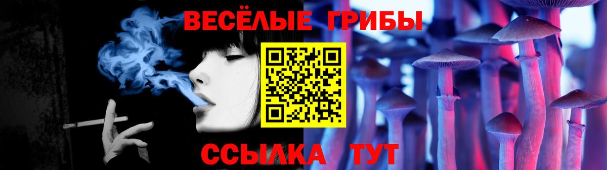 Псилоцибиновые грибы мицелий Кисловодск