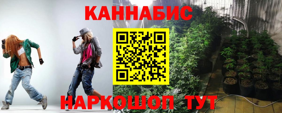 Бошки Шишки сатива Кисловодск